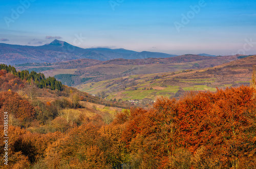 forest with red foliage on hills in autumnal countryside. stunning view of mountainous area with gorgeous high peak of blue mountain ridge in a distance