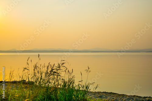 Golden sunset at a shore of a lake with silhouette of plants  Uveldy  the Ural  Russia