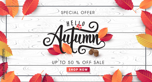 Autumn sale background layout decorate with leaves for shopping sale or promo poster and frame leaflet or web banner.Vector illustration template.