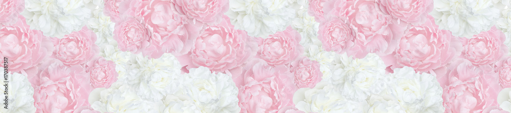 pattern panorama trendy  pale pink  and white peonies