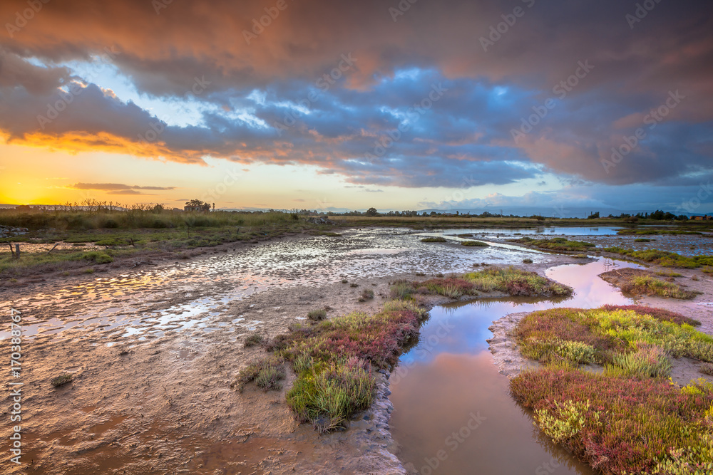 Estuary marshland at sunrise