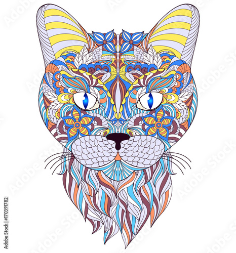 head of cat on white background