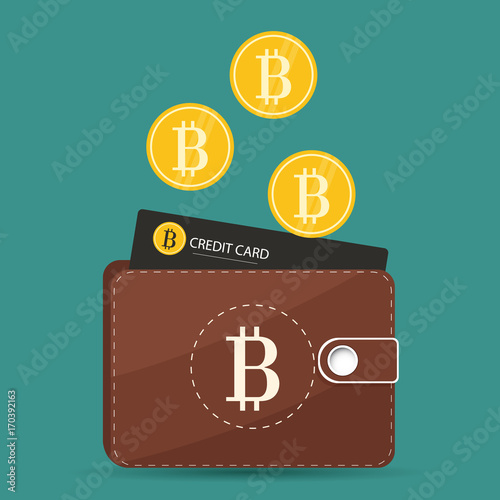 vector bitcoin wallet with coins and card isolated background