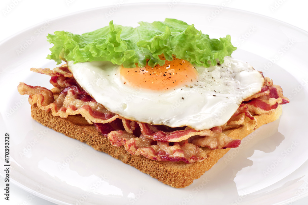 Sandwich with bacon, fried egg and lettuce on a plate. Sandwich with bacon, fried egg and lettuce on a plate.