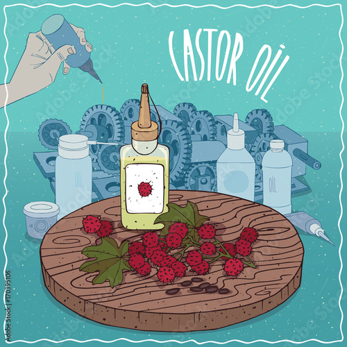 Plastic Oil Can of Castor oil and seeds of Castorbean or Ricinus communis plant. Hand lubrication mechanism. Natural vegetable oil used as grease lubricant