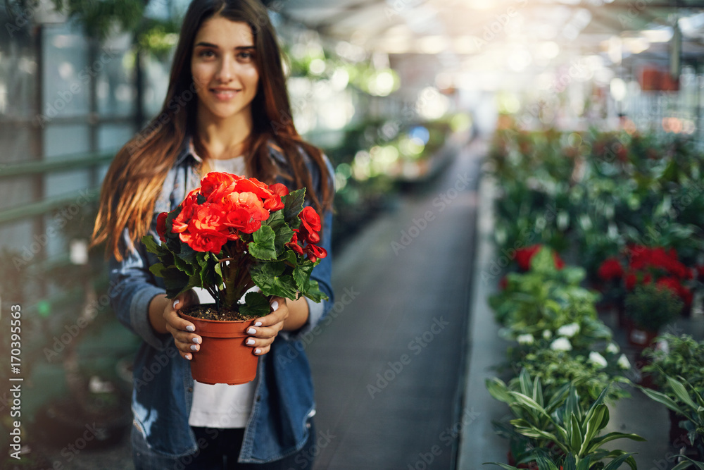 Young female entrepreneur holding a flower in her new greenery shop. Business concept.