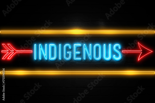 Indigenous  - fluorescent Neon Sign on brickwall Front view
