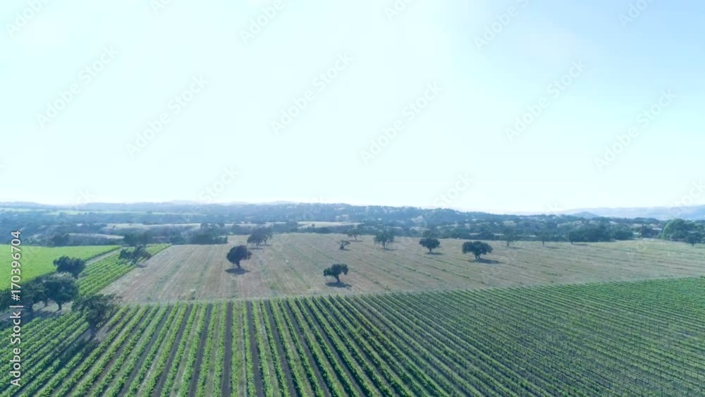 Winery Farm Winery Farm