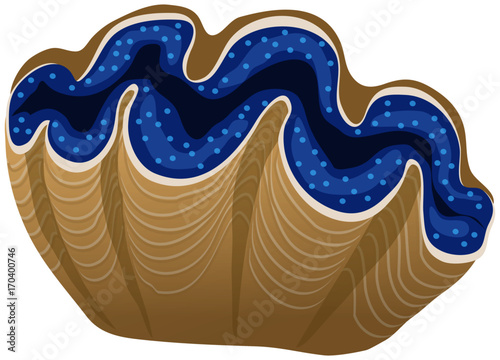 Giant clam vector