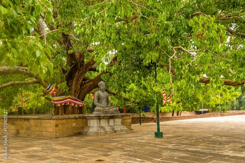 Foto Buddha statue under the bodhi tree at the Jetavanarama Dagoba, the biggest stupa in Anuradhapura, Sri Lanka