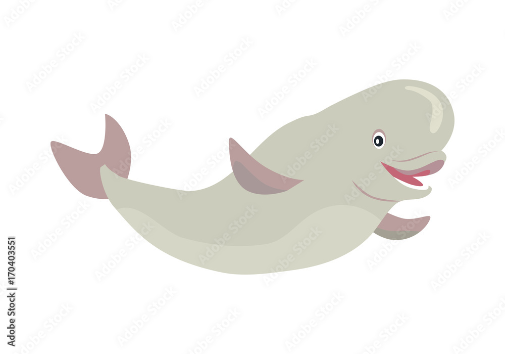Beluga Whale Cartoon Flat Vector Illustration Beluga Whale Cartoon Flat Vector Illustration