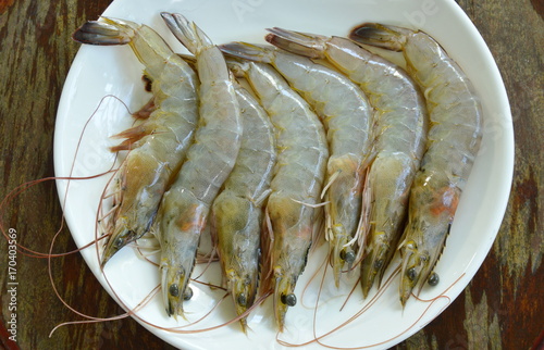 raw shrimp ingredient food arranged on white plate