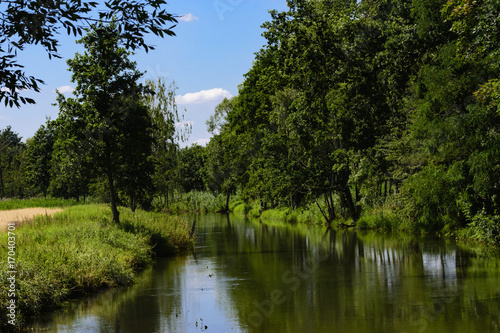 Spree im Spreewald