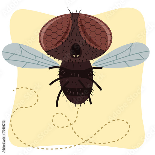 cartoon fly