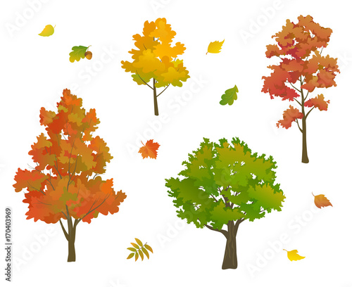 Autumn trees and leaves set