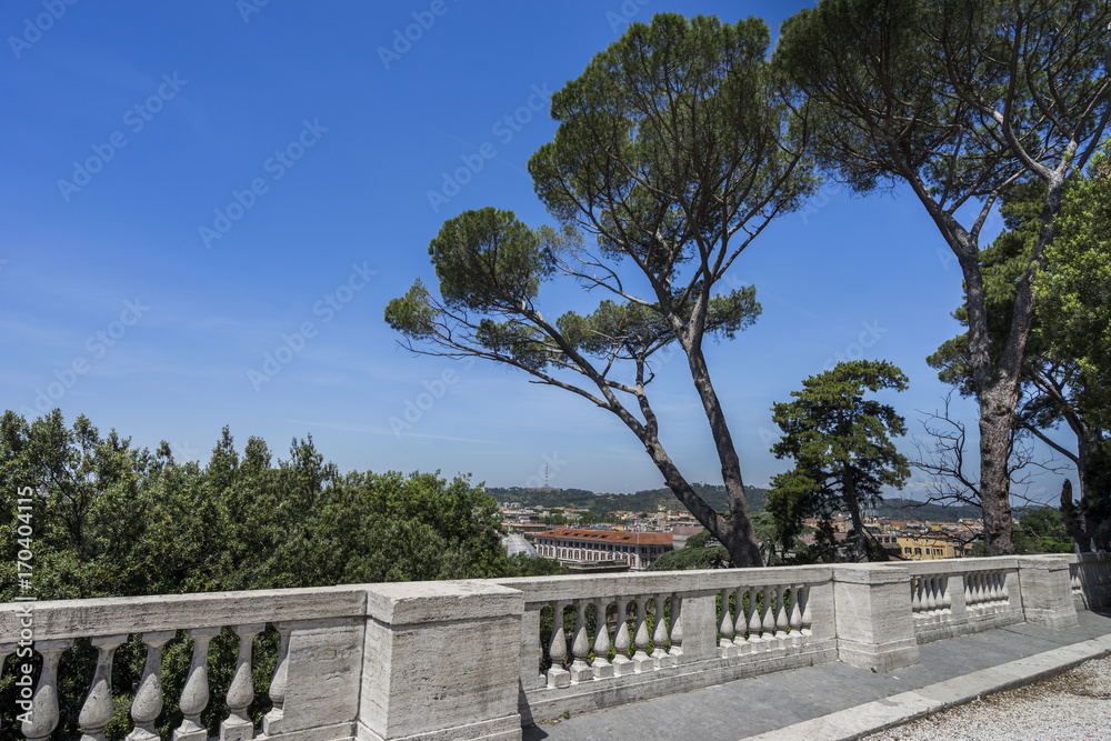 View from Rome with stone umbrella pines. Rome, Italy