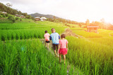 three children walk on rice paddy at Pa Bong Pieng, Chaing Mai, Thailand.