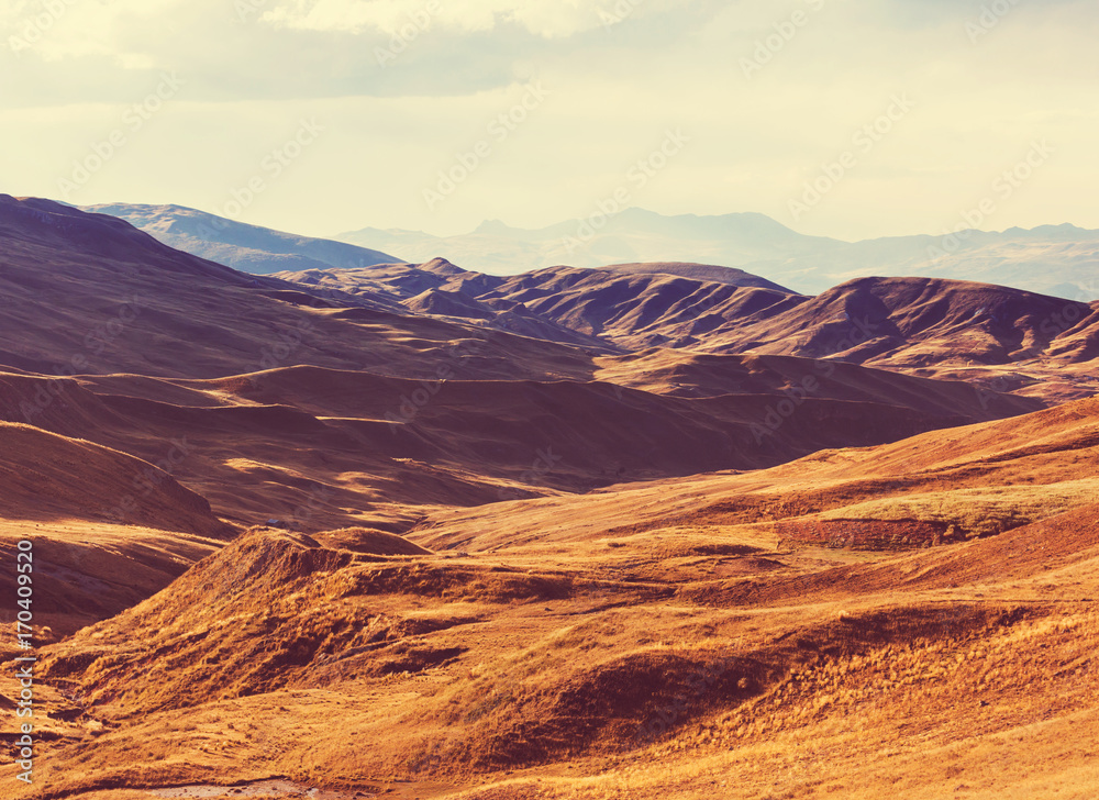 Naklejka premium Peruvian pampa