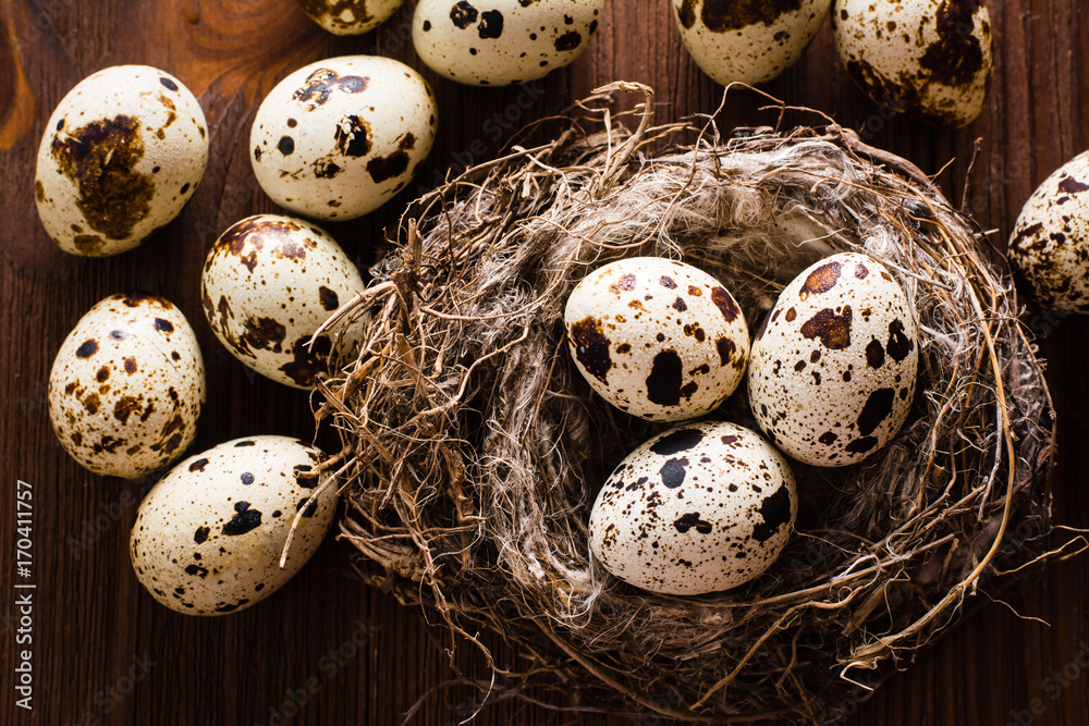Quail eggs in nest and on a wooden table. Top view. Close up Quail eggs in nest and on a wooden table. Top view. Close up