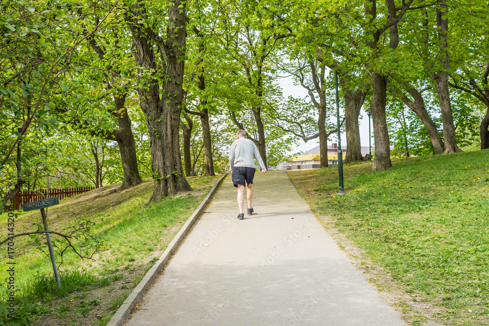 Vitabergsparken på Söder är en stor park med många stigar för ...