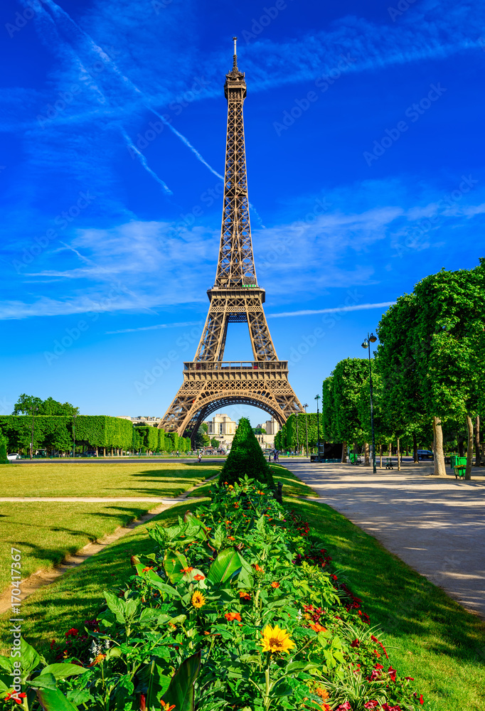 Fototapeta premium Paris Eiffel Tower and Champ de Mars in Paris, France. Eiffel Tower is one of the most iconic landmarks in Paris. The Champ de Mars is a large public park in Paris.