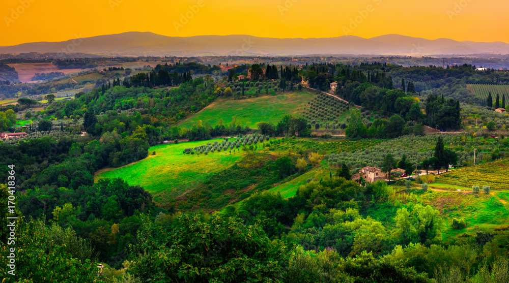 Obraz premium San Gimignano, Tuscany, Italy. Typical landscape of Tuscany in Italy