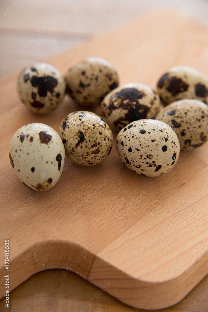 Obraz premium うずらの卵