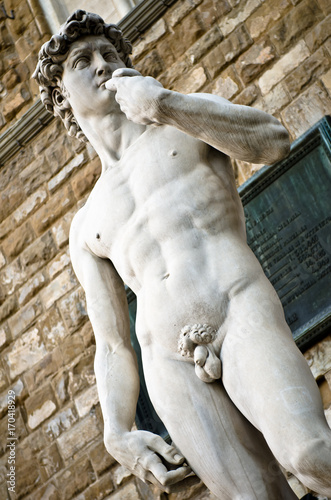 Michelangelo's David, Florence Italy