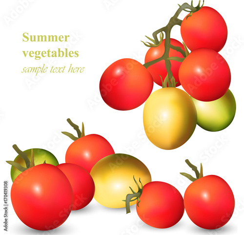 Growing Tomatoes realistic vector isolated on white