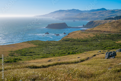 Incredible view. Bright green grass on the sea background. Sonoma Coast State Park, California, USA