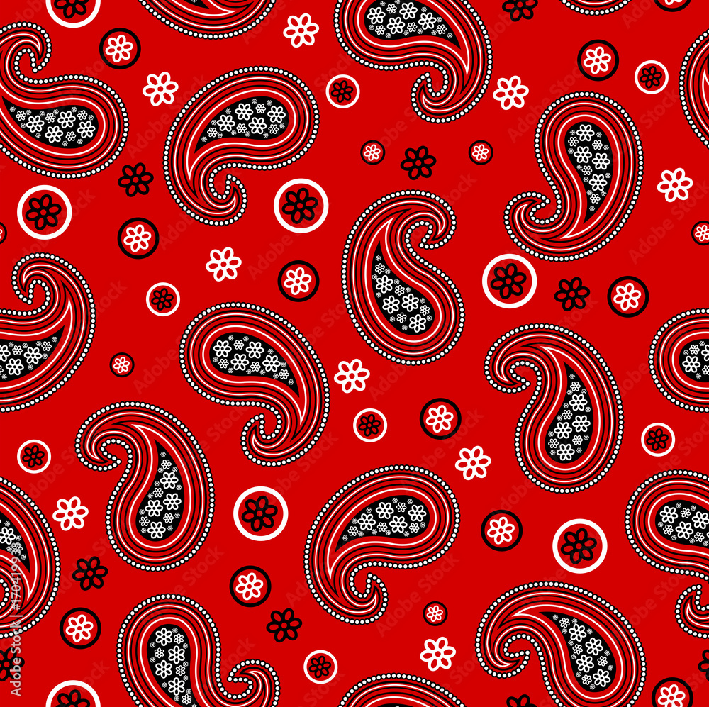 Fototapeta premium Beautiful seamless paisley vector pattern