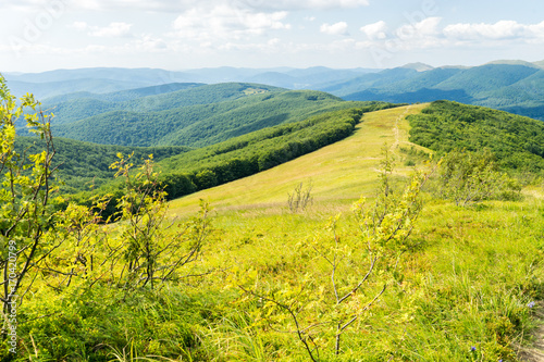 Fototapeta Naklejka Na Ścianę i Meble -  Bieszczady 018