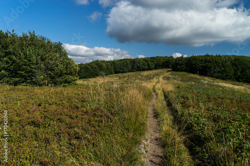 Fototapeta Naklejka Na Ścianę i Meble -  Bieszczady 013