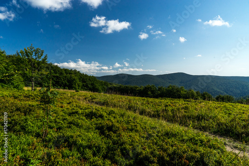 Fototapeta Naklejka Na Ścianę i Meble -  Bieszczady