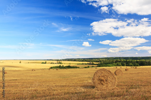Hay and straw bales in field