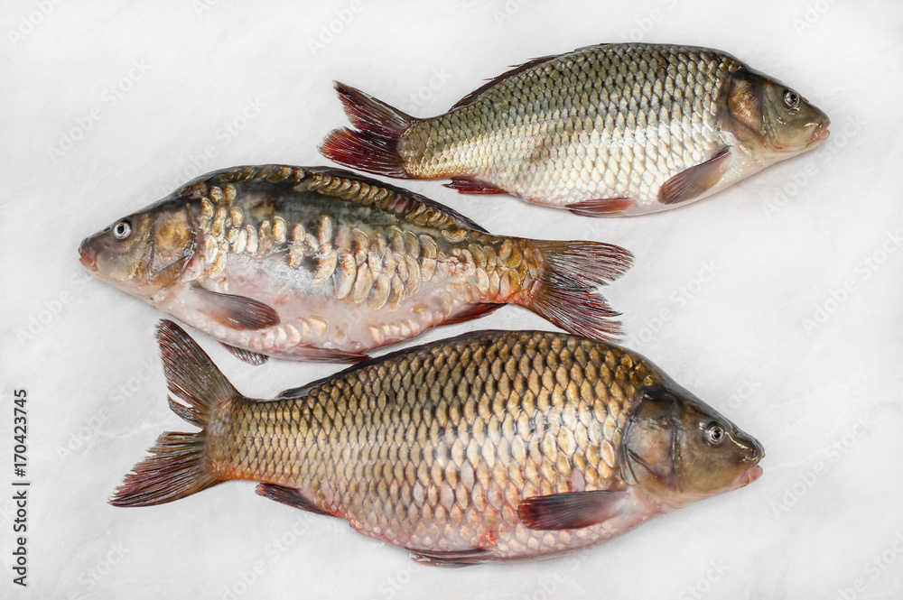 Carp preparation for butchering and cooking the fresh background. Three fish to the scales.