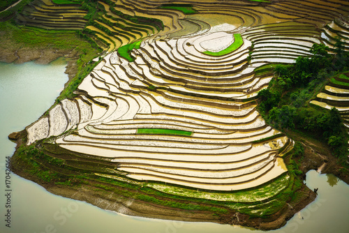 Wallpaper Mural Terraced rice field in water season, the time before starting grow rice in Y Ty, Lao Cai province, Vietnam Torontodigital.ca
