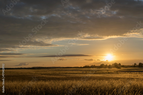 Sunset over local field