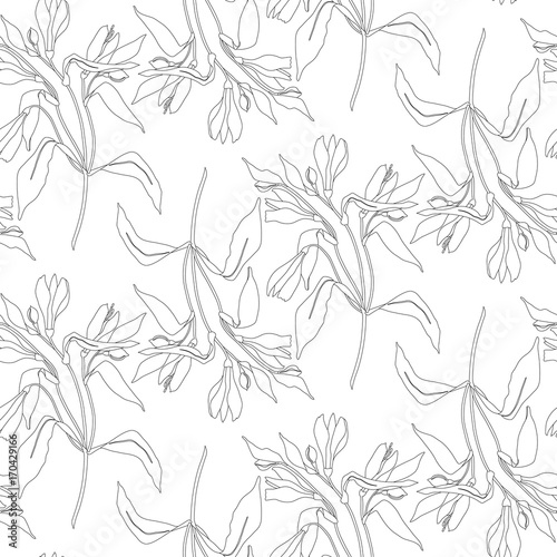 Seamless pattern line flowers alstroemeria. Vector botanical background. Alstromeria.