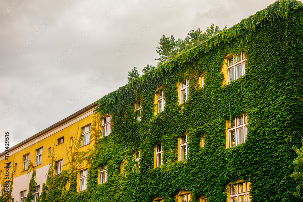 ivy facaded building on a cloudy day