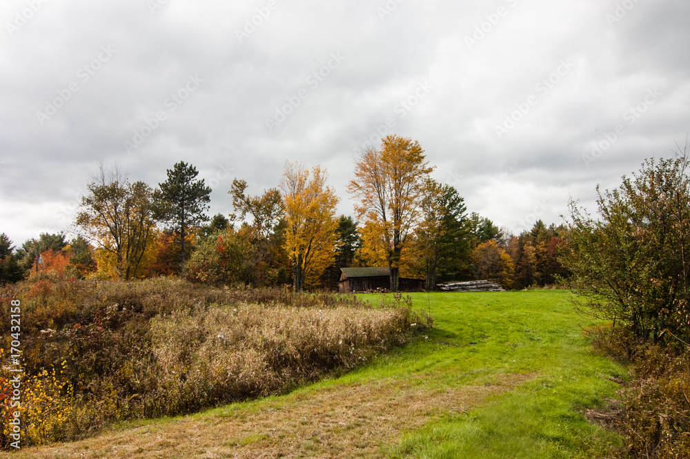 Fototapeta premium Working Barn