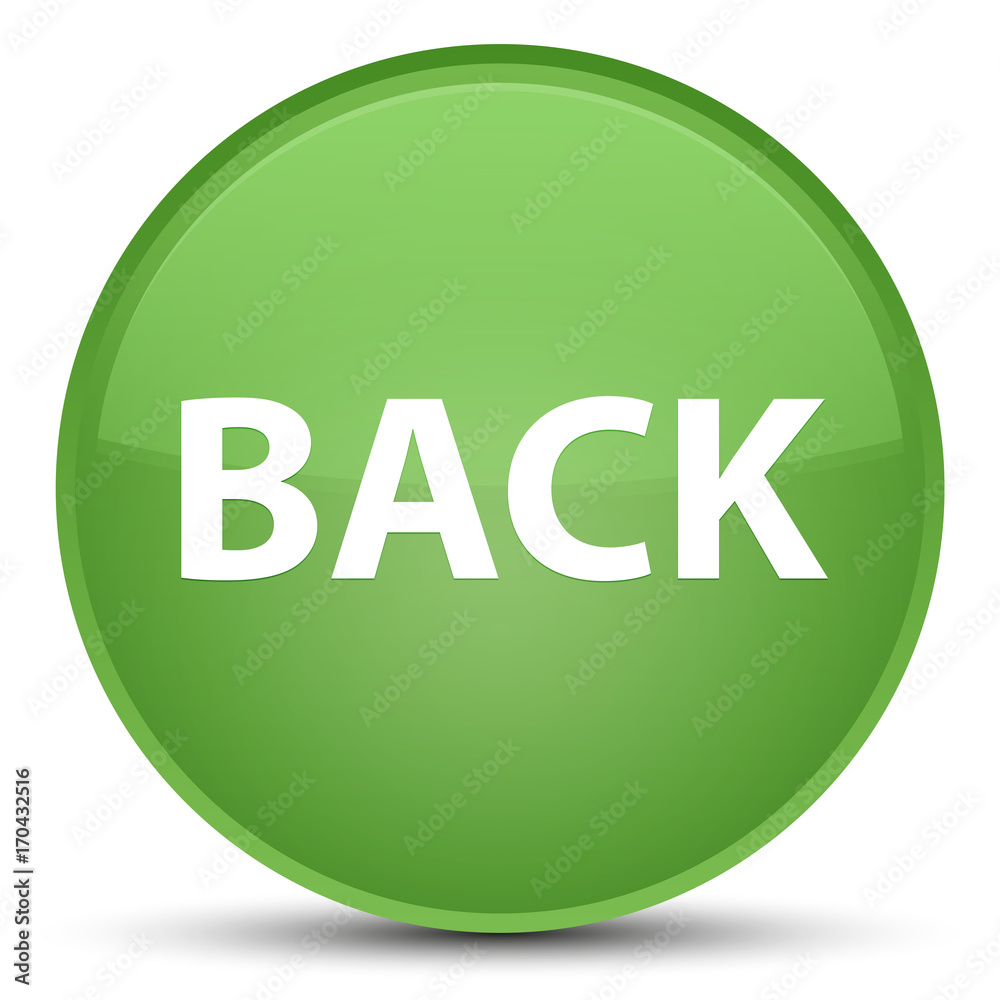 Back special soft green round button Back special soft green round button