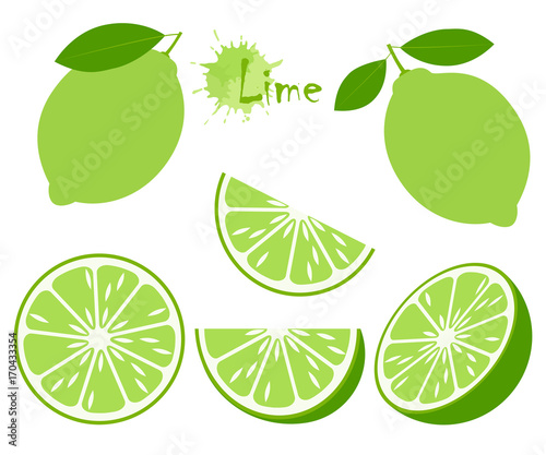 Lime with green leaves, slice citrus isolated on white background. Tropical fruits. Raw and vegetarian food. Vector illustration
