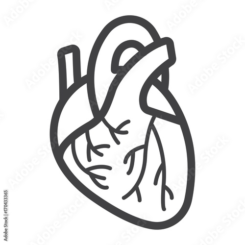Human heart line icon, medicine and healthcare, human organ sign vector graphics, a linear pattern on a white background, eps 10.