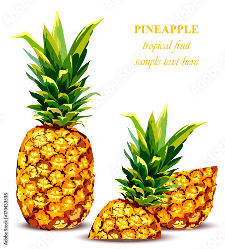 Pineapple fruit Tropical style card. Vector illustrations