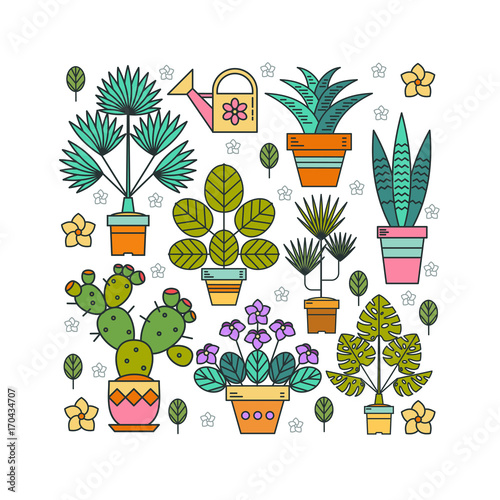 Flowers in pots. Potted plants. Arrangement of potted flowers in the shape of a square. Isolated on white background.