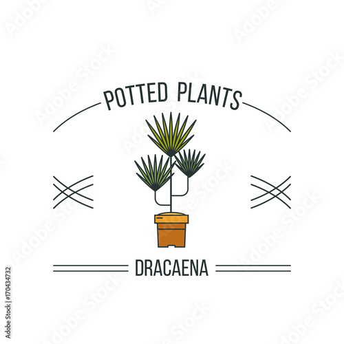 Potted plants. Advertising a flower shop. Isolated on white background. Vector illustration.