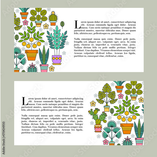 Potted plants. Vector illustration, corporate identity. Flower shop. Advertising flyer. Isolated on white background.