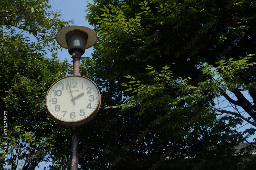 Naklejka premium 鶴渡公園の時計台