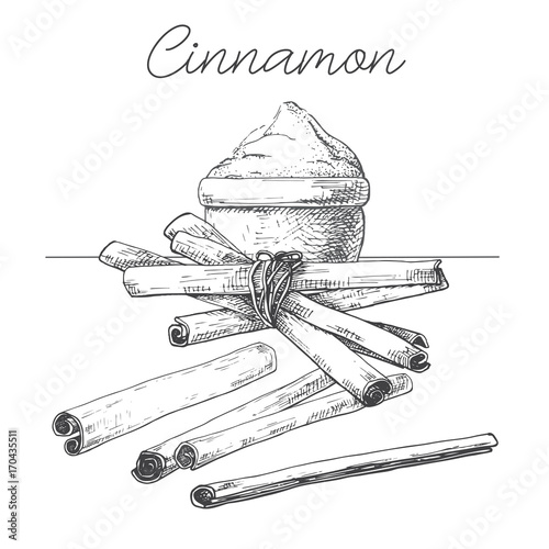 Cinnamon sticks, cinnamon powder. Hand drawn spice isolated on white background. Vector illustration of a sketch style.